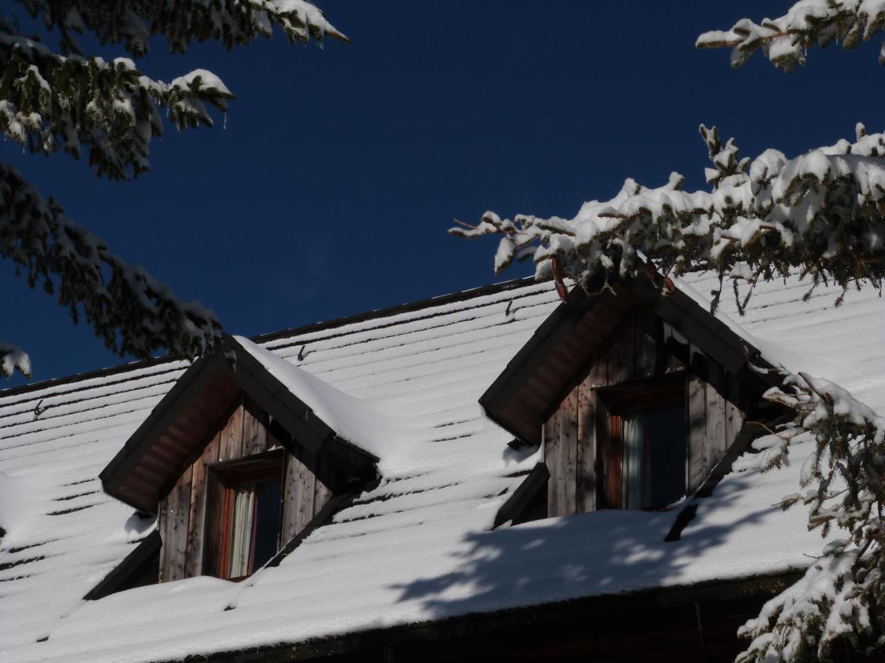 Residence Le Bois De La Reine Super Besse Exterior foto